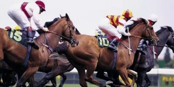 Experience …… Cheltenham in 2027