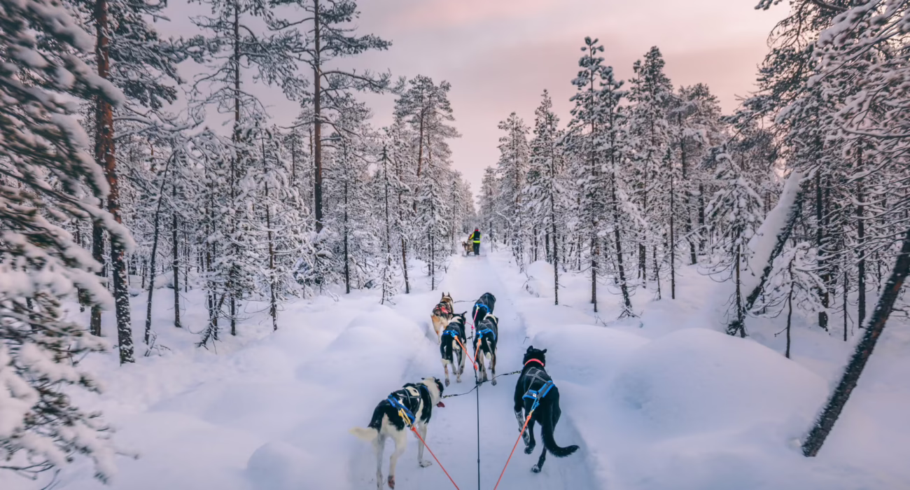 Search for Santa on a Lapland Day Trip - Image 5