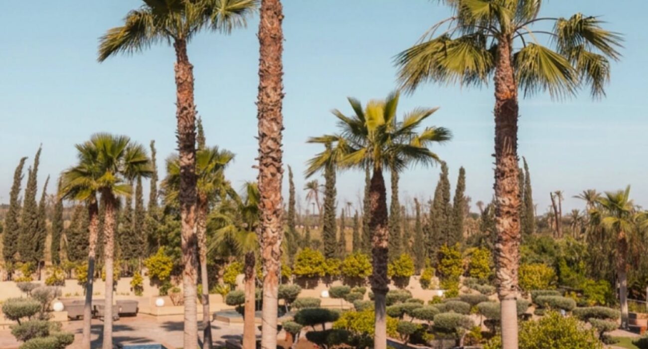 Luxury 5* Marrakech All Inclusive Short Break - Image 3
