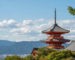 Early Summer Japan Multi Centre Special