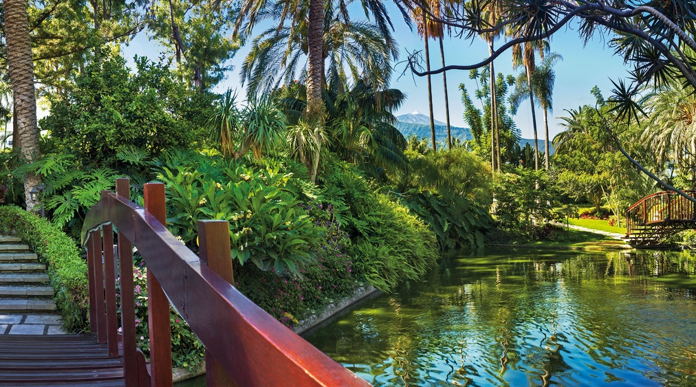 5* North Tenerife NInja Wellness Break - Image 3