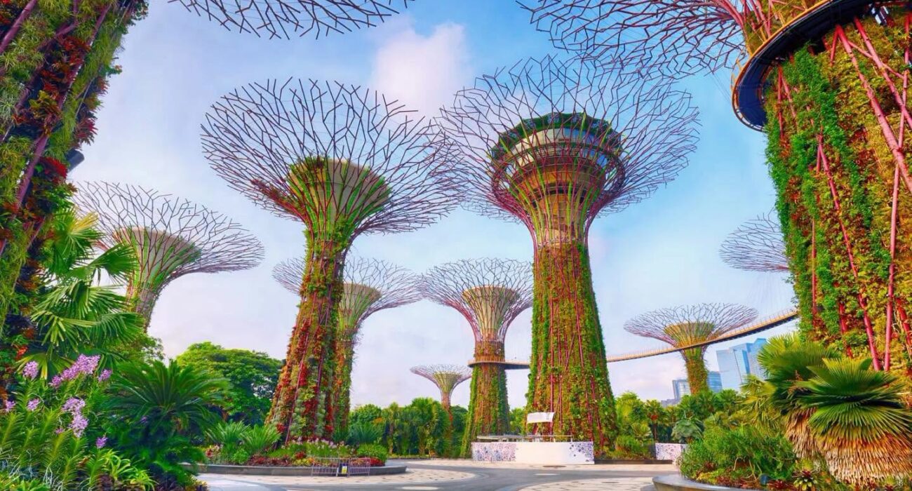 Asia Multicentre – Singapore, Malaysia and Thailand - Image 1