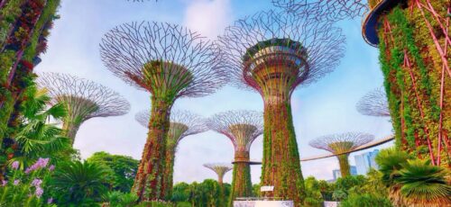 Asia Multicentre – Singapore, Malaysia and Thailand