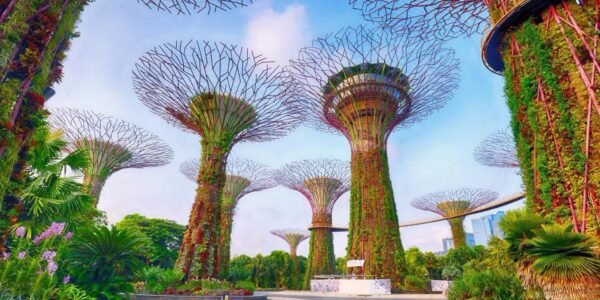 Asia Multicentre – Singapore, Malaysia and Thailand