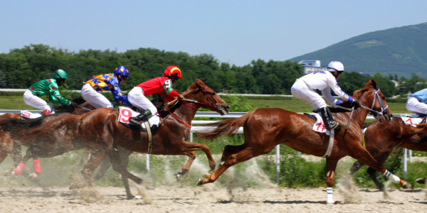 The Cheltenham Racing Festival 2027