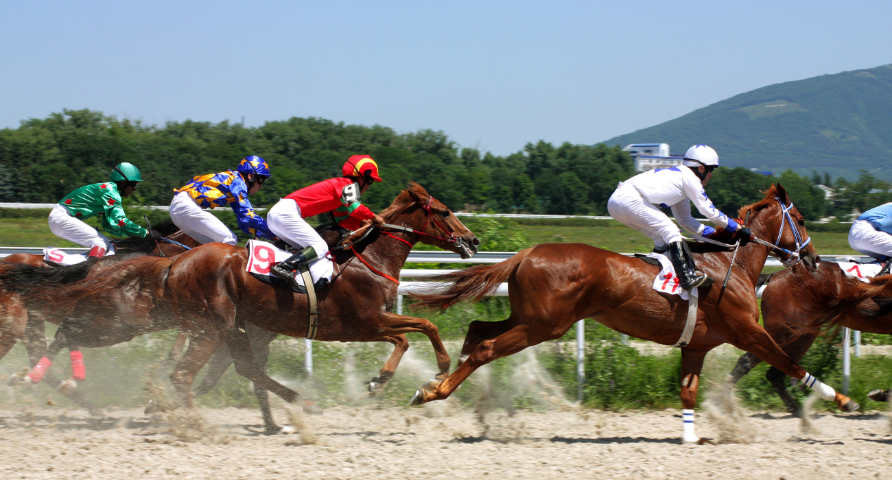 The Cheltenham Racing Festival 2027 - Image 1