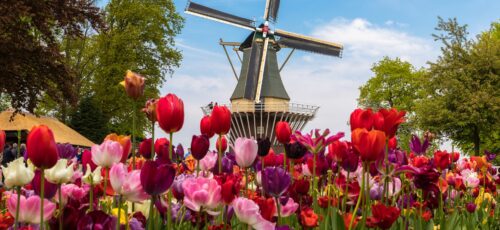 SOLO SPECIAL – Secret 5* Luxury Hosted River Cruise Line
