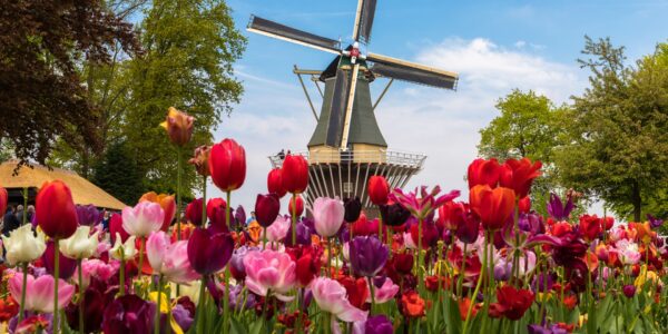 SOLO SPECIAL – Secret 5* Luxury Hosted River Cruise Line