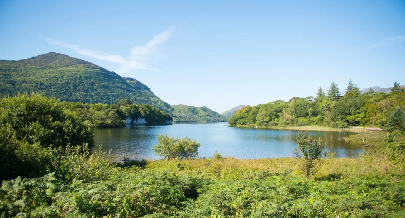 Celebrate St Patrick’s Day in Killarney - Image 10