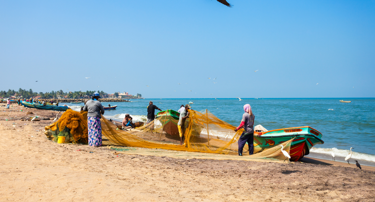 SRI LANKA ESCORTED TOUR NINJA SPECIAL - Image 2