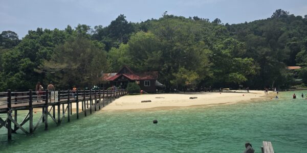 Borneo Orangutan and Rainforest Adventure