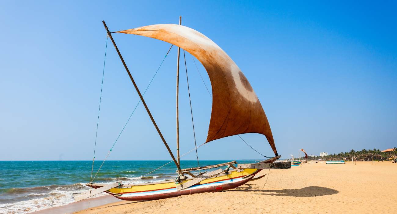 SRI LANKA ESCORTED TOUR NINJA SPECIAL - Image 3
