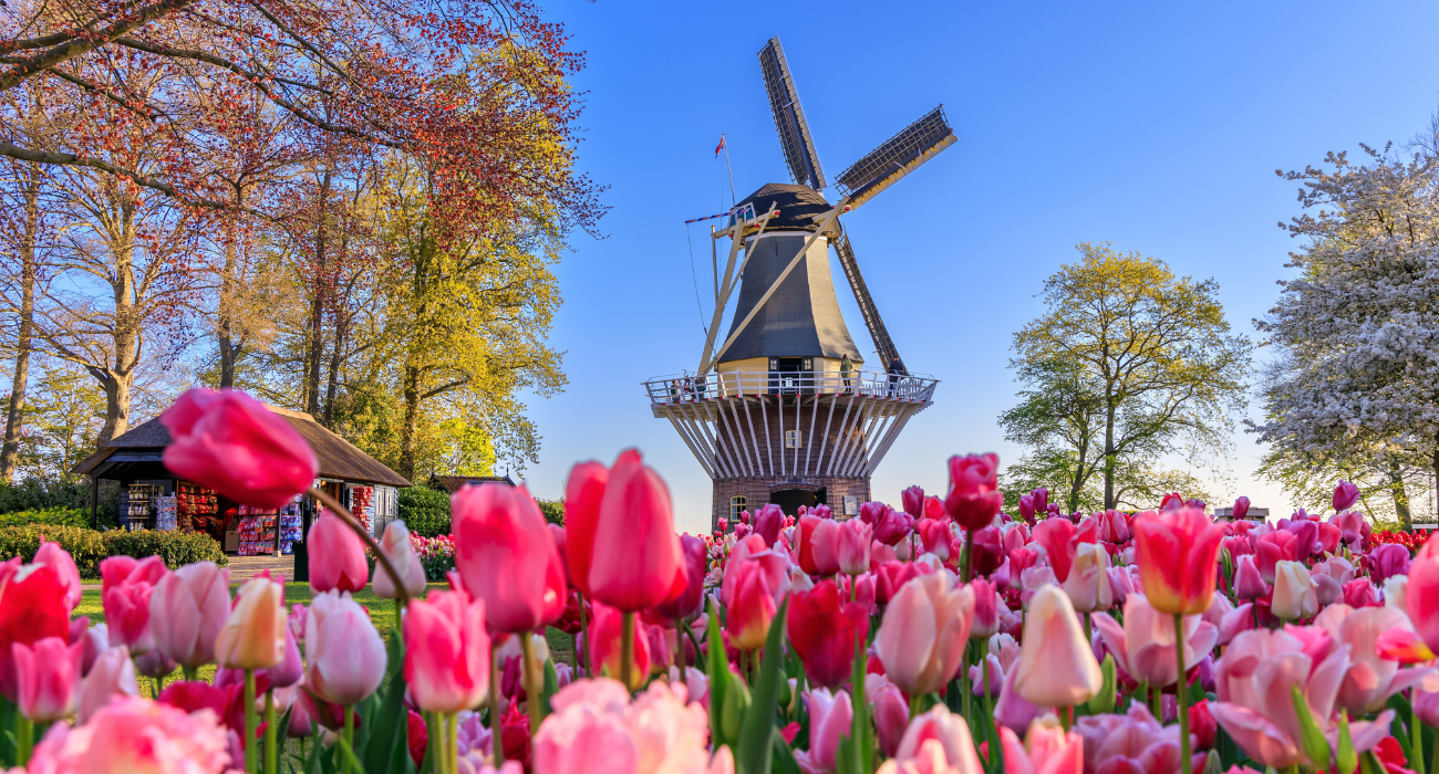 SPRINGTIME IN HOLLAND RIVER CRUISE - Image 4