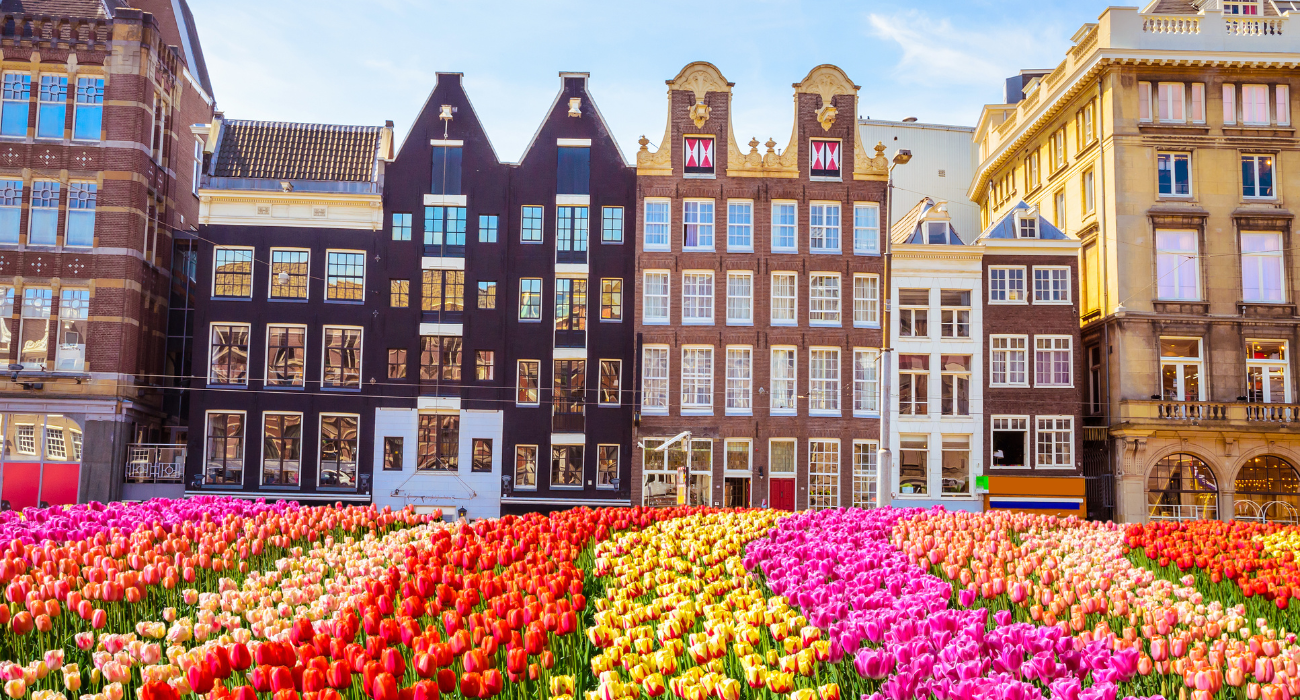SPRINGTIME IN HOLLAND RIVER CRUISE - Image 6