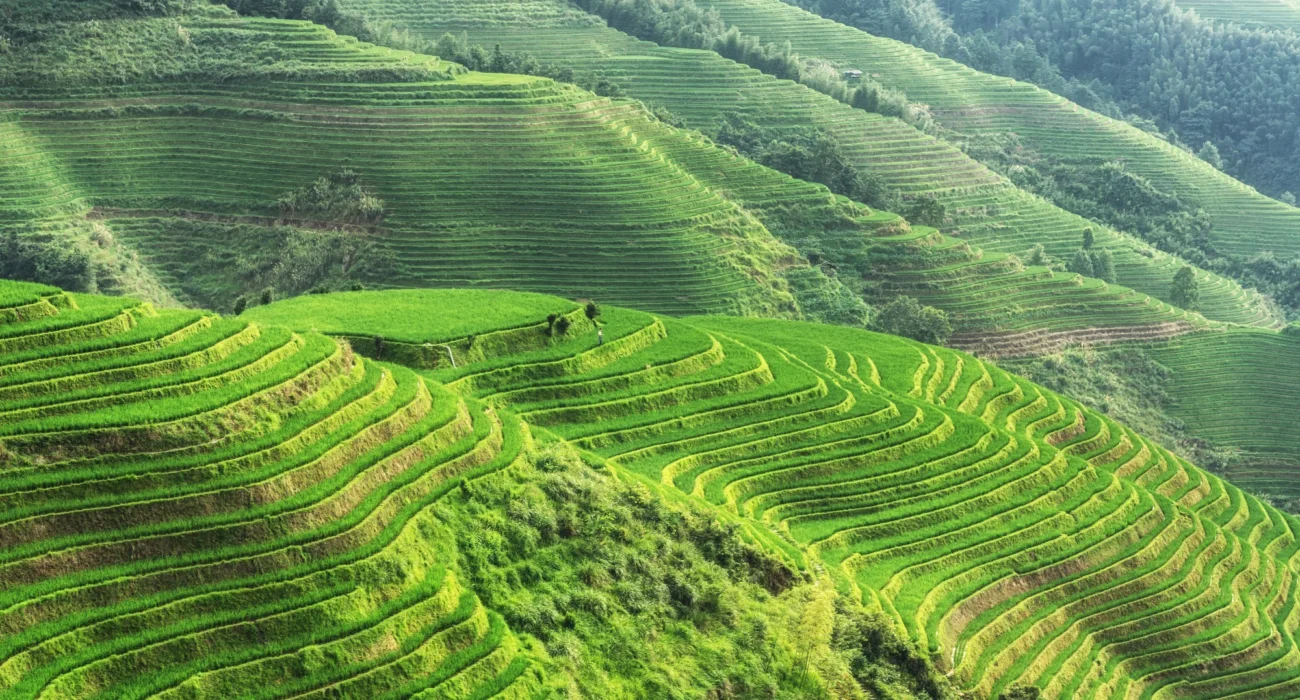 Spring 2027 China Group Tour Special - Image 8