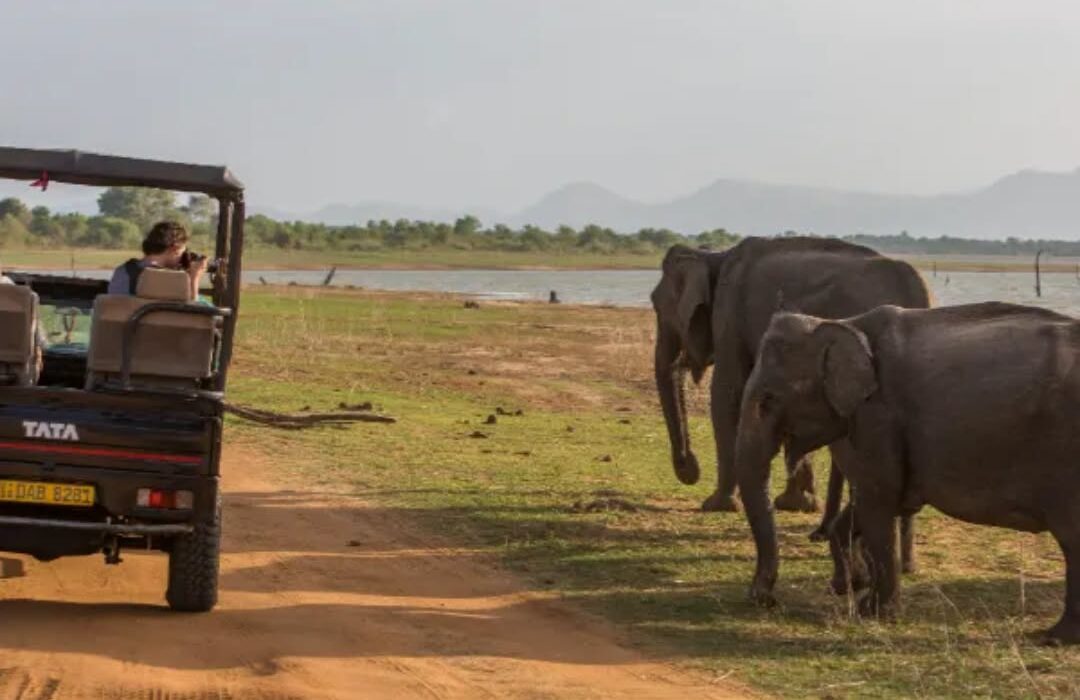 SRI LANKA SPRING NINJA ESCORTED TOUR - Image 3