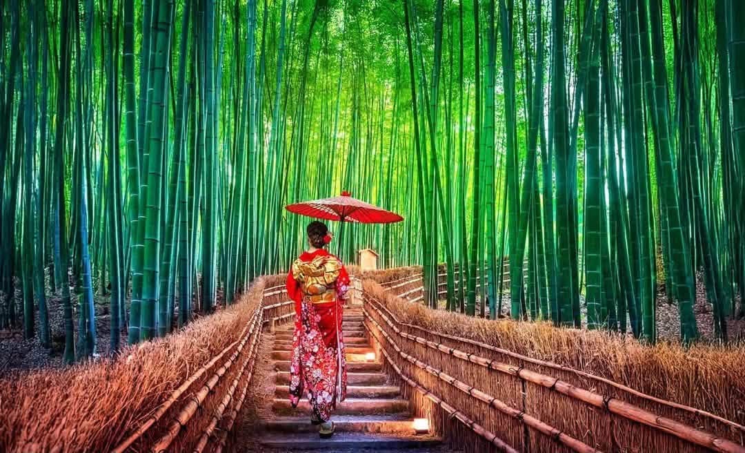 Experience the BEST of Japan in 2027 - Image 5