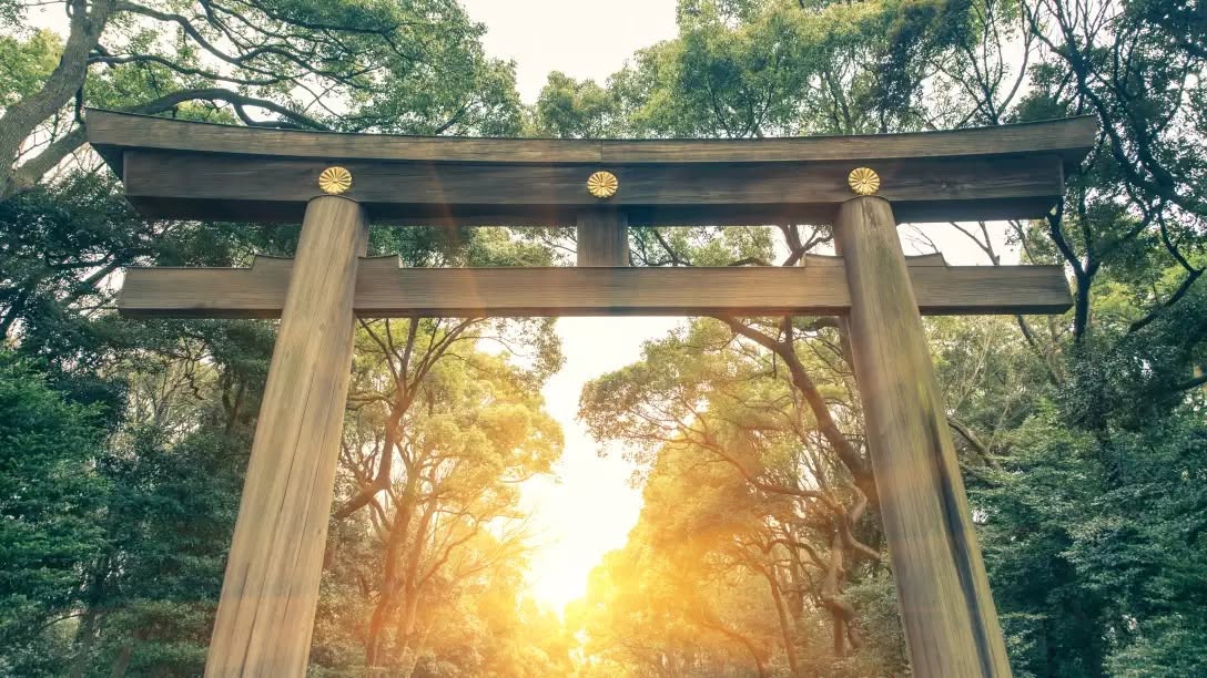Best of Japan 2027 OR 2028 Escorted Tour Offer - Image 4