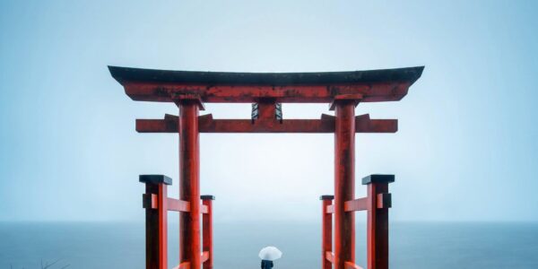Japan Multi Centre NInja Adventure Break