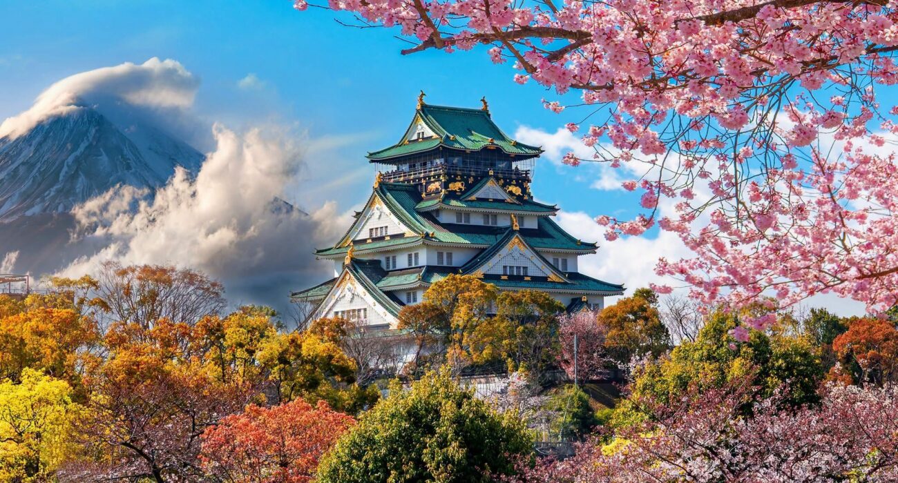 Japan Multi Centre NInja Adventure Break - Image 2