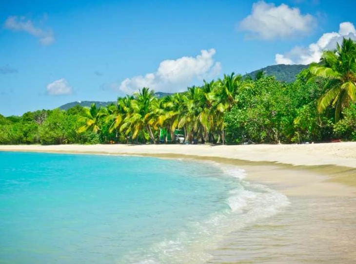 Combine The Music Of The Deep South With The Sounds Of The Caribbean - Image 4