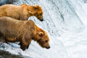 EXCLUSIVE ALASKA SAILING WITH VIRGIN VOYAGES