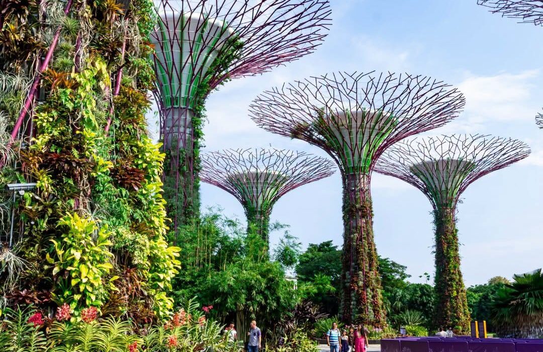 ASIA MULTI CENTRE: SINGAPORE, MALAYSIA & THAILAND - Image 3