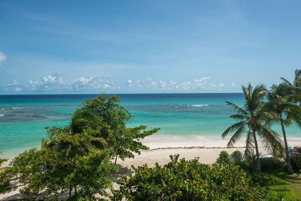 Late Year 2027 Special to AMAZING Barbados - Image 2