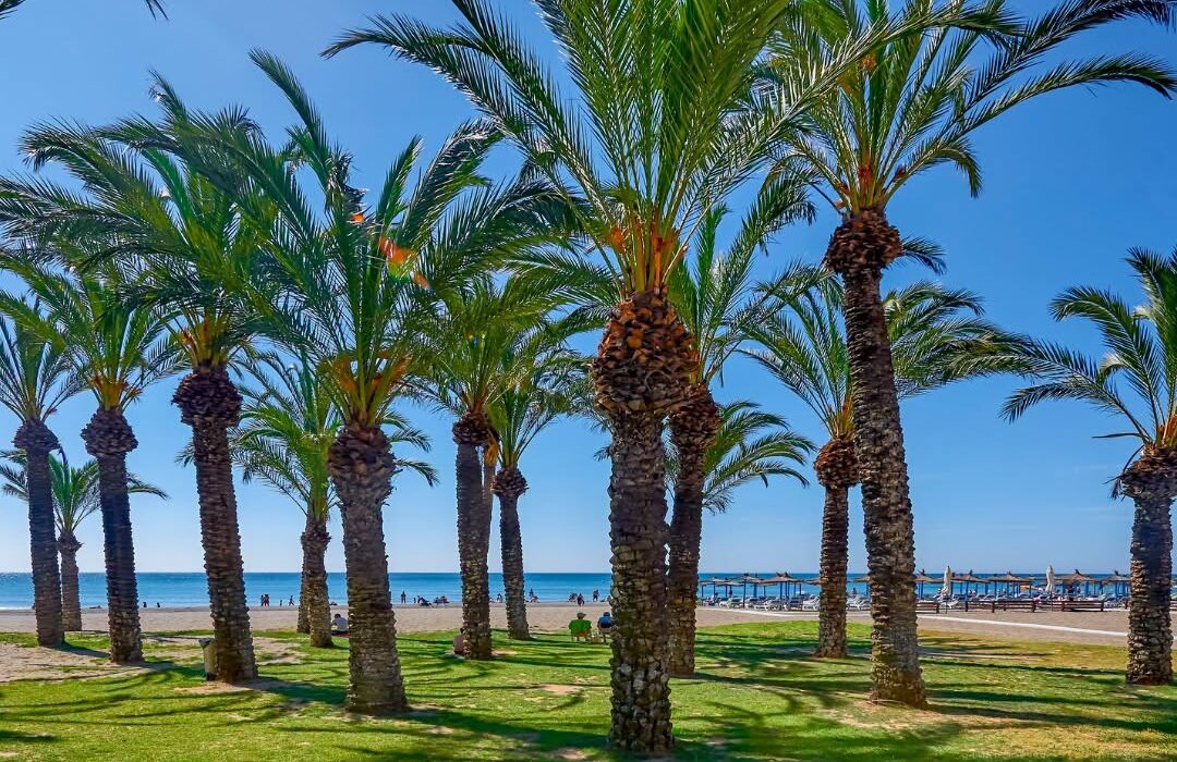 Torremolinos Costa Del Sol LAST MIN Sunshine BARGAIN - Image 2