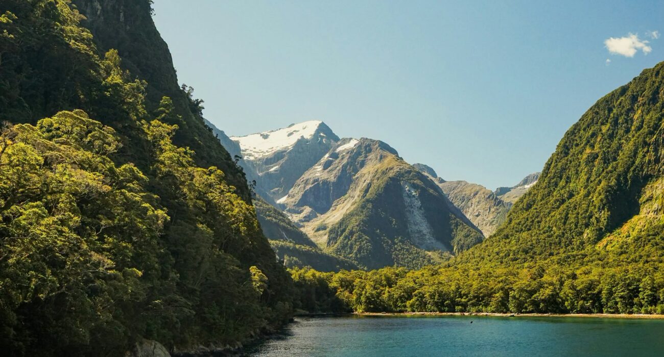 Explore the Best of New Zealand BUCKET LIST Cruise - Image 1