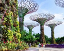 Early Summer Dubai and Singapore Twin Centre