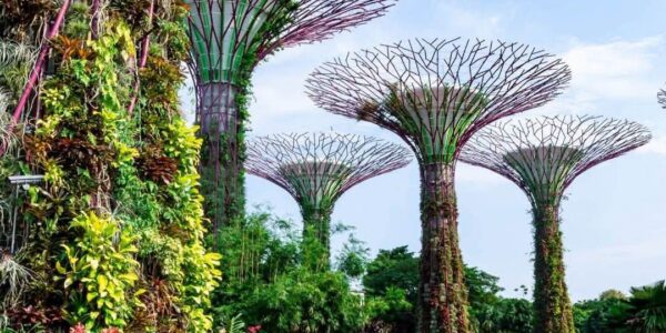 Early Summer Dubai and Singapore Twin Centre