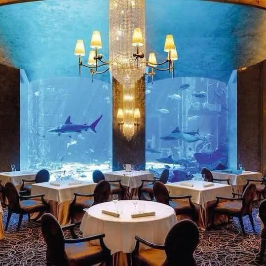 Luxury Atlantis The Palm Dubai NInja Getaway - Image 4
