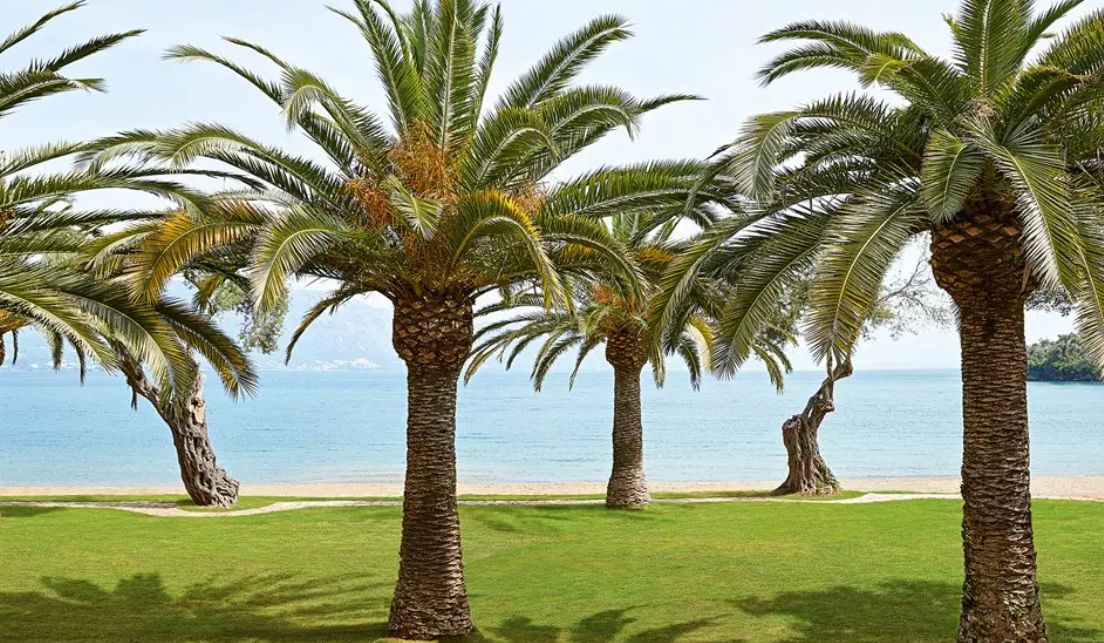 Corfu Cracker 4* All Inclusive in May 2027 - Image 6