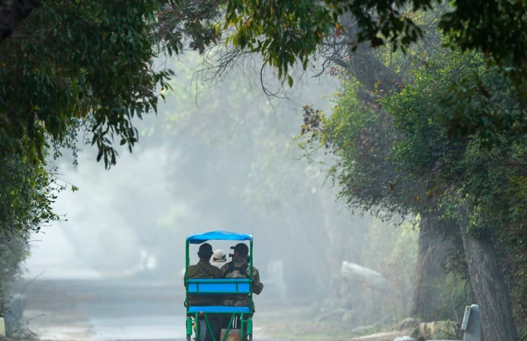 Tour of Taj, Tigers and Forts – India 2027 Tour - Image 2