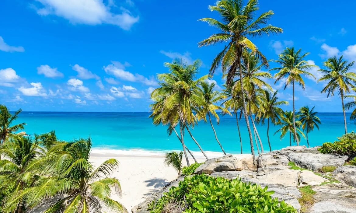 Caribbean Cruise 2028.. Fly Belfast to Barbados - Image 1