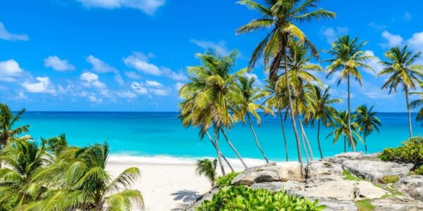 Caribbean Cruise 2028.. Fly Belfast to Barbados
