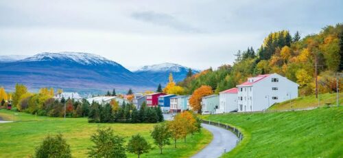SUMMER 2027 ICELAND INTENSIVE CRUISE