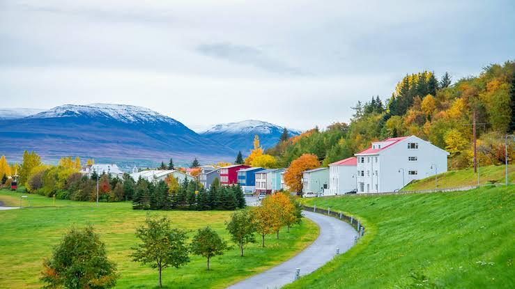SUMMER 2027 ICELAND INTENSIVE CRUISE - Image 1