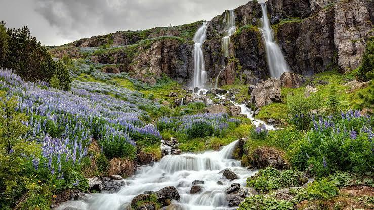 SUMMER 2027 ICELAND INTENSIVE CRUISE - Image 3
