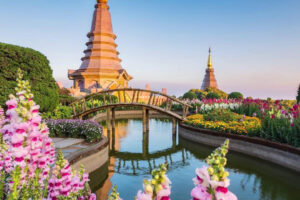 Thailand and Dubai TWO WEEK NInja Special
