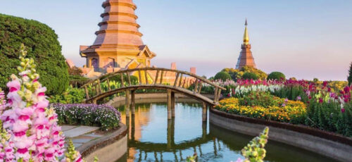 Thailand and Dubai TWO WEEK NInja Special