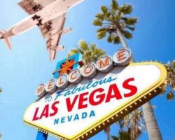 Ultimate USA Summer Hols NInja Getaway