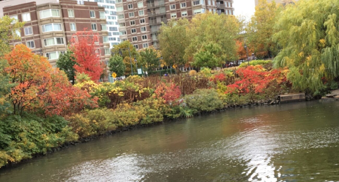 A “Norwegian” Escape from Belfast – Experiencing the “Fall” in the USA - Image 1