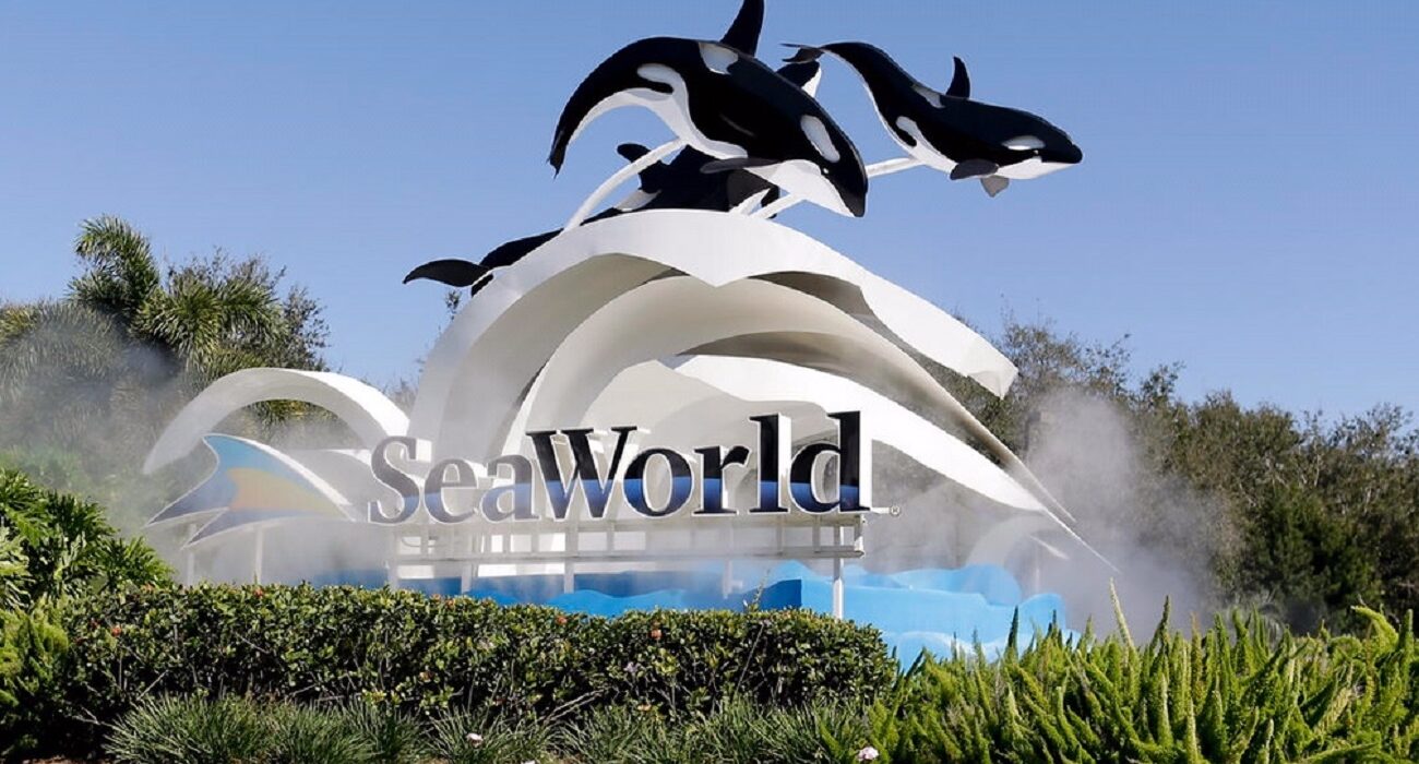 #NInja Verdict – Seaworld Orlando, Florida - Image 1
