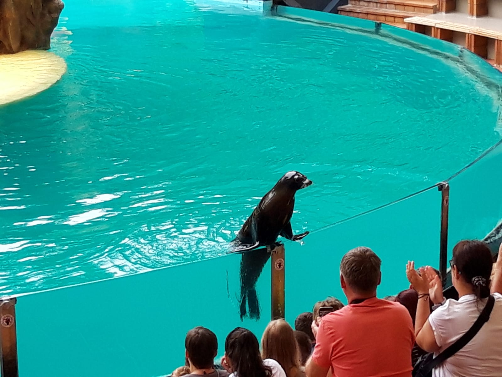 Loro Parque, Tenerife