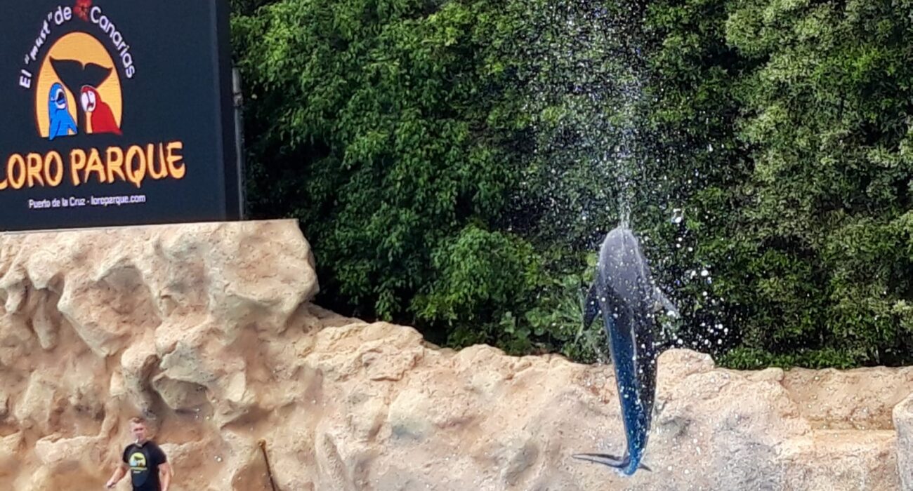 #NInja Verdict – Loro Parque, Tenerife - Image 1