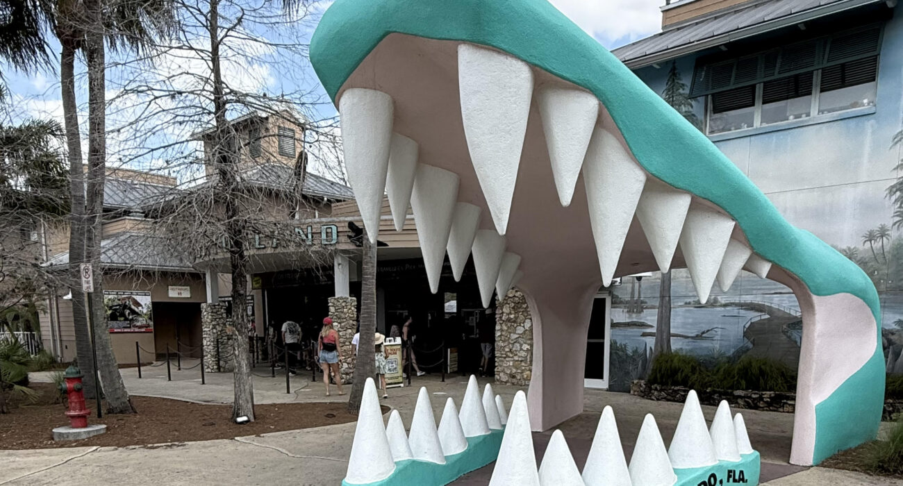 #NInjaVerdict – (Alternative) Orlando Florida, USA - Image 1